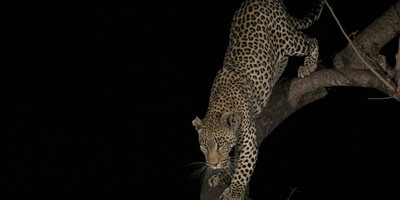 The ultimate african adventure - Photo 2