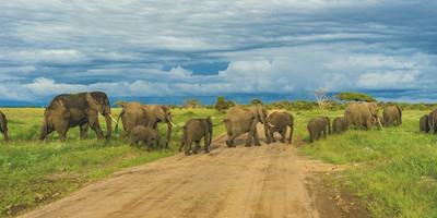 4-day tanzania camping safari - Photo 3