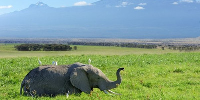 2 days tanzania budget group joining/sharing safari burigi chato safaris co ltd - Photo 3