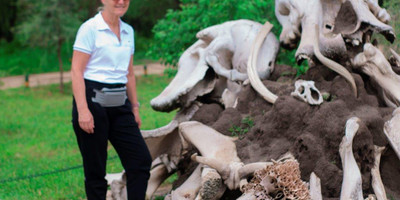 5 days tanzania camping ( budget) safari --tarangire- serengeti - ngorongoro & lake manyara - Photo 17
