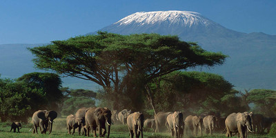 3 days amboseli national park - Photo 2