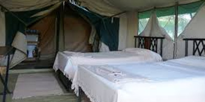 6 day camping and lodging the big five unique safari in northern tanzania - Photo 1