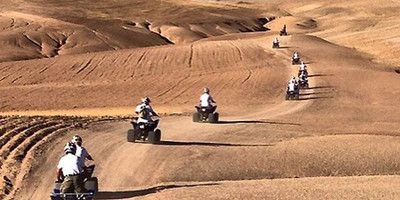 Quad biking in the desert - Photo 1