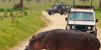 Tanzania classic bush safari adventure - Photo 9