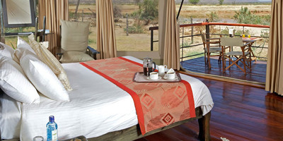 11 day serengeti wildebeest migration safari - Photo 4