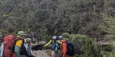 5 days marangu route kilimanjaro climb - Photo 3