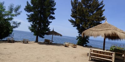 6 days best of rwanda budget safari - Photo 4