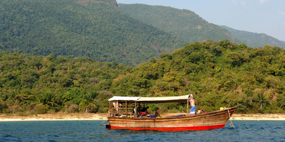 Amaizing safari to the western parks in tanzania - Photo 2