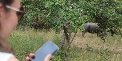 6 days breathtaking safari in murchison falls, queen elizabeth national park & kibale national park - Photo 4