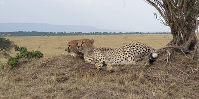 6 days tanzania private safari - Photo 21