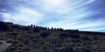 8 days kilimanjaro clibing trekking via rongai route with burigi chato safari co l.t.d - Photo 3