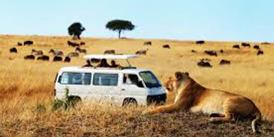 6 days adventure to the maasai mara - Photo 7
