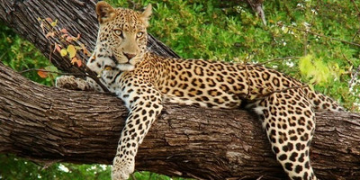 7 days murchison falls and kidepo thrilling safari - Photo 2