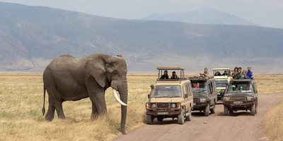 Unforgettable 3-day masai mara safari – stay in the heart of the wild - Photo 2