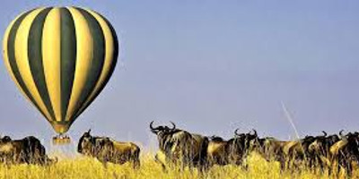 6 days serengeti wildebeest migration holiday safari tours - Photo 1