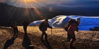 Kilimanjaro Umbwe Route 6 days - Photo 7