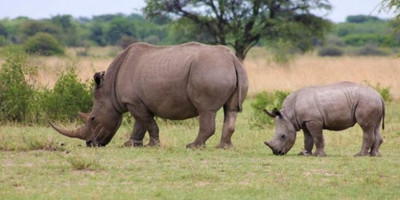 3 days tanzania safari - Photo 1