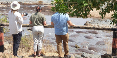 4 days tanzania private safari tour - Photo 8