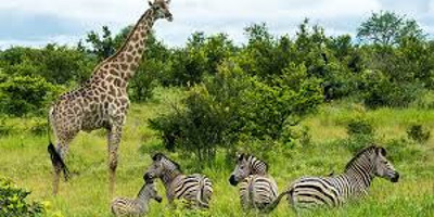 9 Days Wilderness Botswana and Victoria Falls from Windhoek (Lodging) - Photo 2