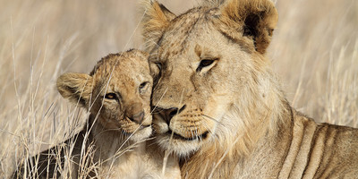 9 day tanzania safari and cultural tourism - Photo 8