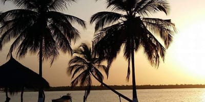 Niambodecouverte, casamance - Photo 9