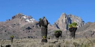  mount kenya climbing sirimon up & down chogoria 5 days - Photo 4