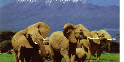 3 Days - Tsavo West and Tsavo East - Photo 4