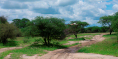 3 days tanzania mid-range safari to serengeti and ngorongoro - Photo 1