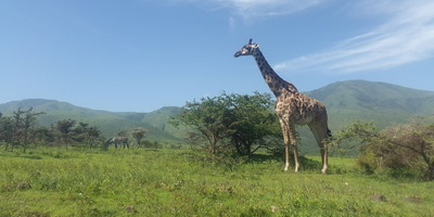 2 days 1 night package ( the taste of tanzania ) - Photo 5