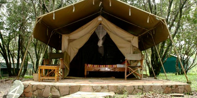 3days maasai mara budget safari - Photo 6
