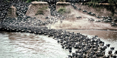 Walking in the footsteps of early man - Photo 6