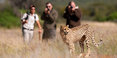 8 Days Taste of Namibia Safaris - Photo 2