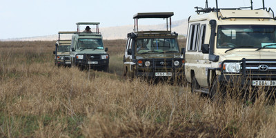 4 days tanzania private safari - Photo 2