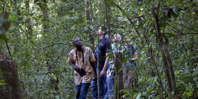 A 20 days birding trip inclusive of kidepo n.park and rwanda - Photo 5