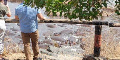 4 days tanzania private safari tour - Photo 6