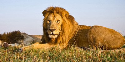 3days Selous Game Reserve - Photo 5