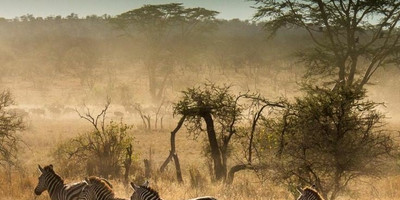 2 days last-minute safari to tarangire and ngorongoro - Photo 5