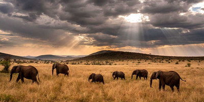 3 days 2 nights amboseli national park - Photo 5