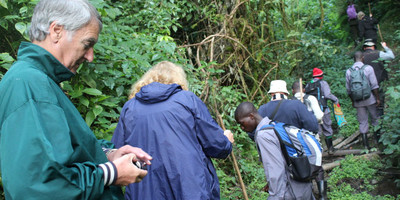 4 days gorilla tracking safari- by road - Photo 7