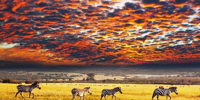 10 days 9 nights top tanzania luxury safari tour - Photo 6