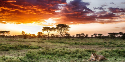 10 days 9 nights top tanzania luxury safari tour - Photo 8