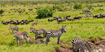 10 days mount kenya hiking adventure holiday safari - Photo 10