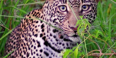 10 DAYS SECLUDES SAFARI - Photo 1