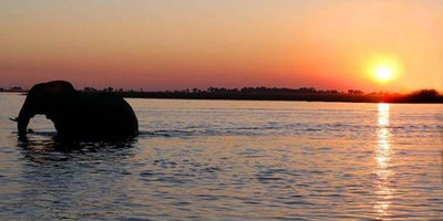 12 days best of botswana;okavango delta & chobe - Photo 2