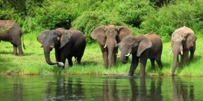 12 days best of botswana;okavango delta & chobe - Photo 3