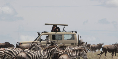 13 days – best of tanzania and zanzibar - luxury - Photo 6