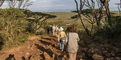 13 days – best of tanzania and zanzibar - luxury - Photo 3