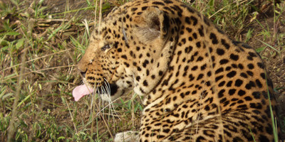 15 days uganda wildlife and activity holiday - Photo 11