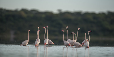 2-day tarangire & ngorongoro safari from zanzibar - Photo 4