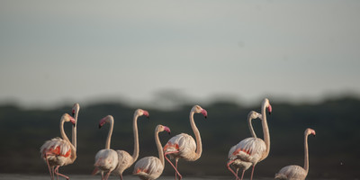 2-day tarangire & ngorongoro safari from zanzibar - Photo 5